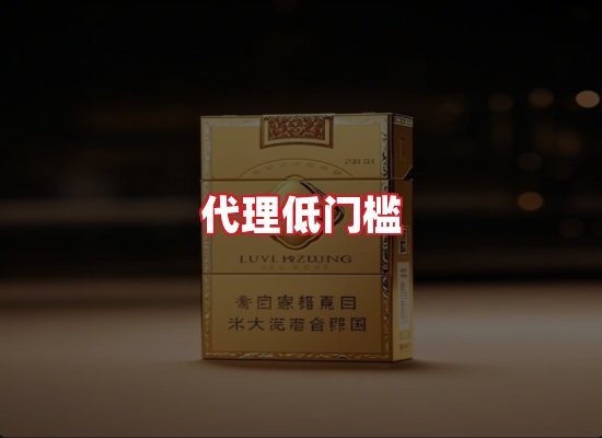 专业团队